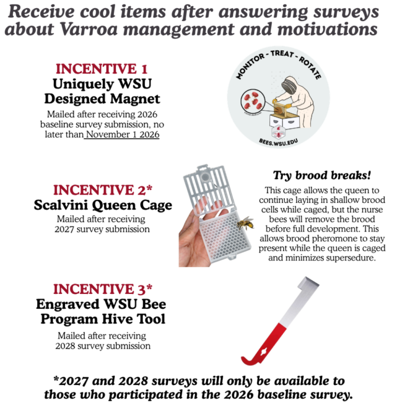 advertisement showing non-monetary incentives for answering surveys